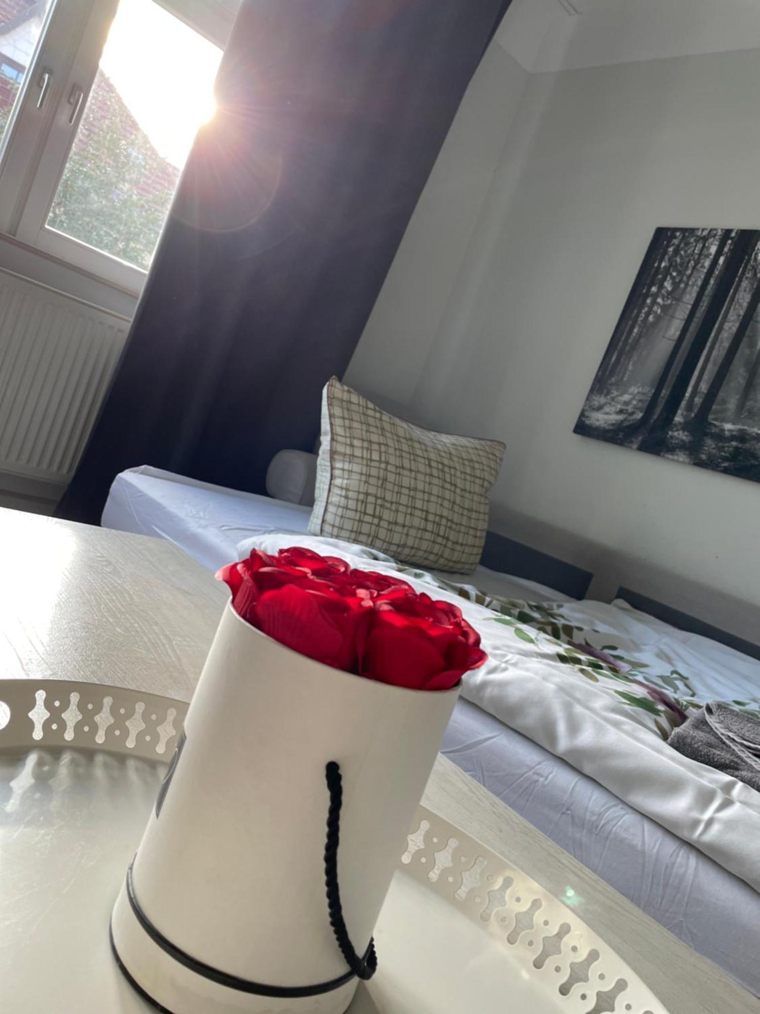 Gemuetliche Wohnung In Der Stadt 1 Arnstadt Esterno foto